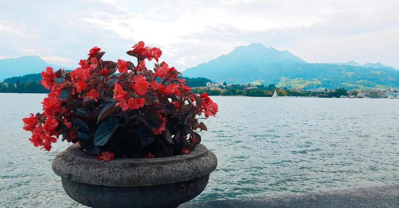 Priv. Apartment Bei Swiss Holiday Park Morschach Ngoại thất bức ảnh